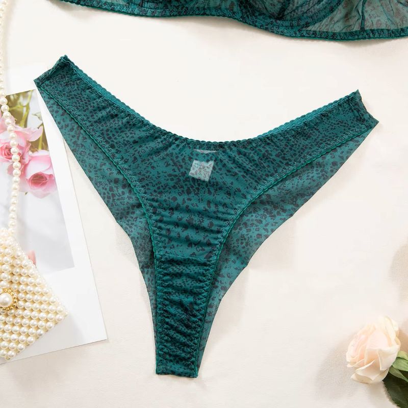 2pcs/Set Woman Lingerie Gather - Sheer Mesh Bra recensie en prijs