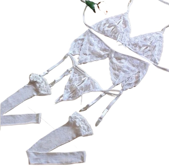 Lace Women Lingerie Set 4 Pcs  - Sheer Mesh Bra recensie en prijs