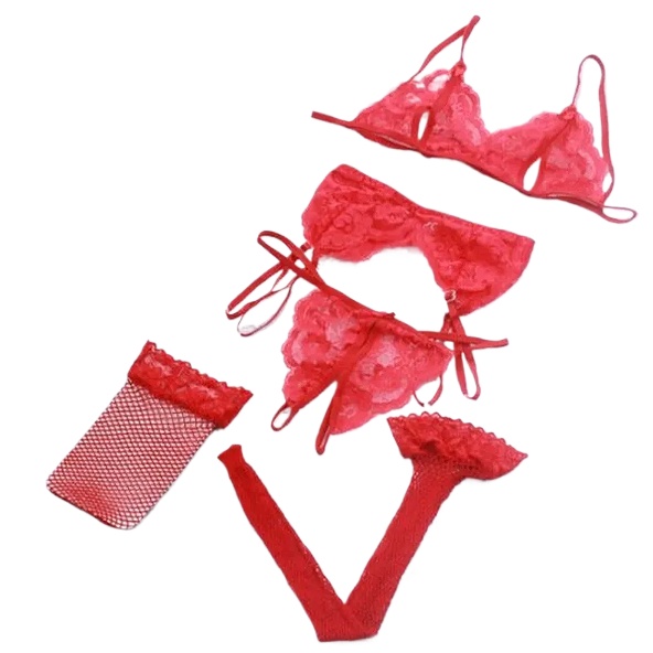 Lace Women Lingerie Set 4 Pcs  - Sheer Mesh Bra recensie en prijs